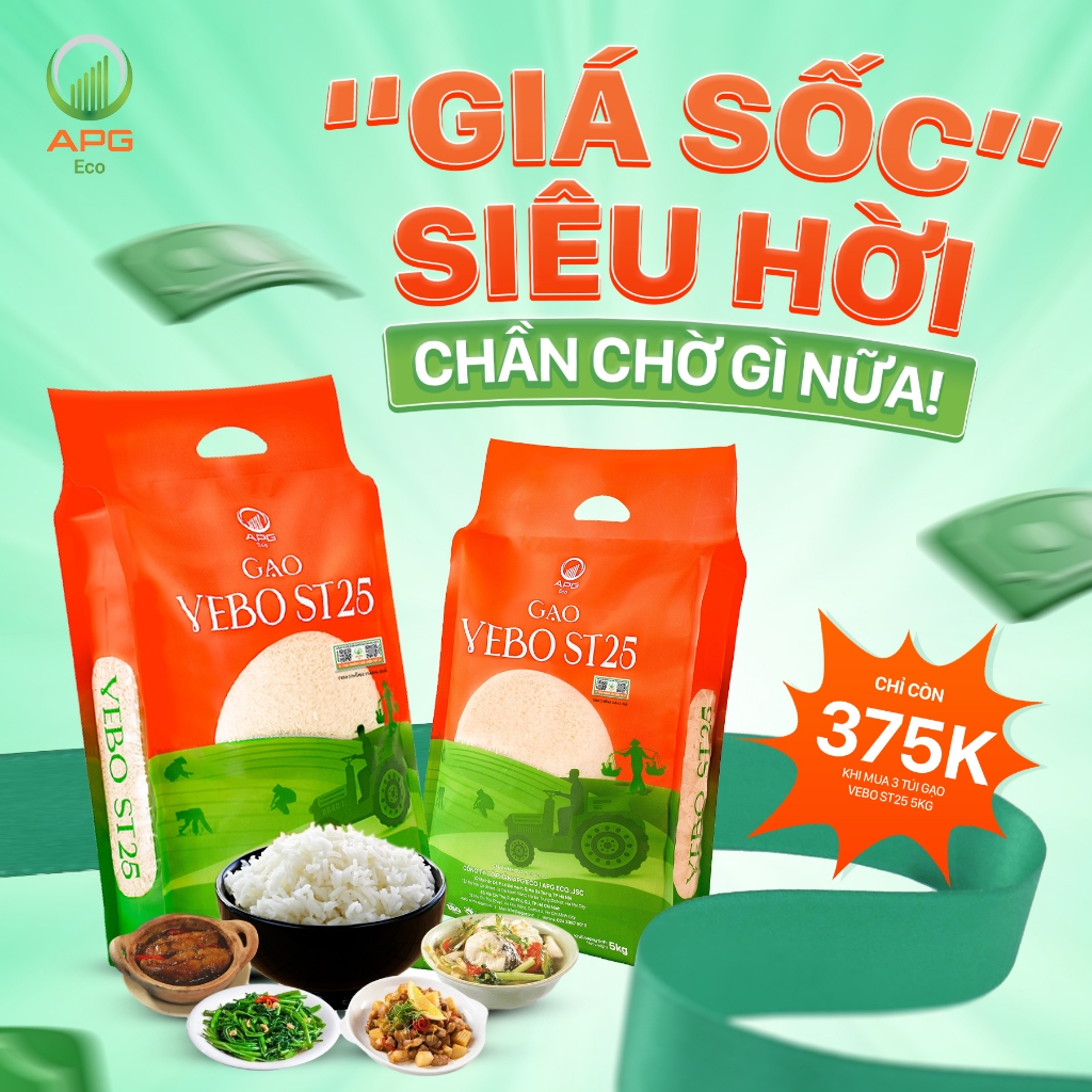 COMBO 3 BAO GẠO VEBO ST25 (TỔNG 15KG)