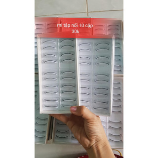 Mi tập nối 10 cặp