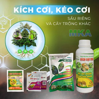 Bộ sản phẩm phân bón MKA kích cơi, kéo cơi đọt sầu riêng và cây trồng khác