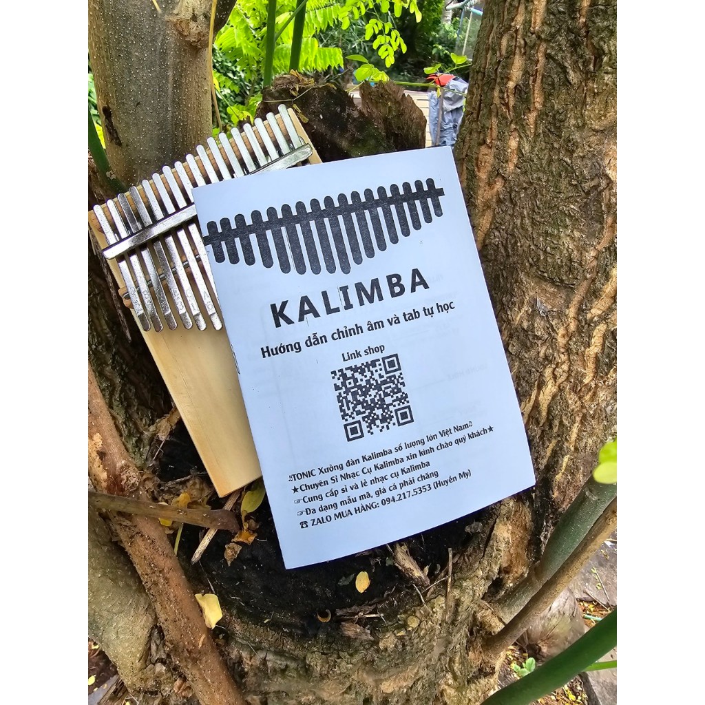 30 bài tab kalimba dễ đánh cho bạn mới tập chơi nhạc Nước Ngoài sale giá rẻ revodichshop