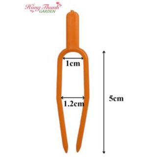 Ghim cố định thân lan, ngó dâu tây