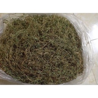 Dây Khổ Qua Rừng Phơi Khô