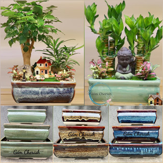 Chậu chữ nhật trồng cây cảnh bonsai, gốm bát tràng