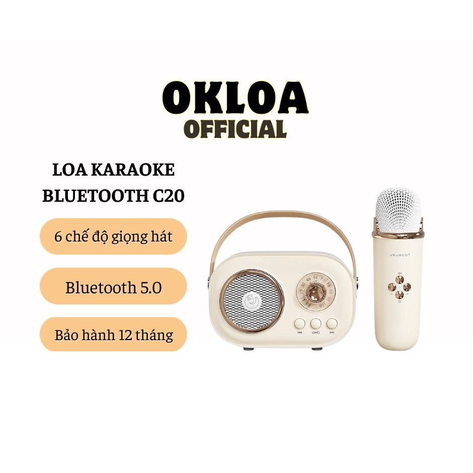 Loa Karaoke Bluetooth xách tay kèm mic C20 xinh xắn