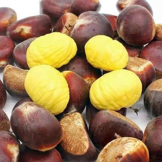 Hạt dẻ tươi trái lớn 1kg