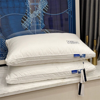 Ruột Gối Cotton Hilton, Ruột Gối Cao Cấp Nhập Khẩu Hilton Kích Thước 45-65cm