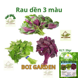 Hạt giống Rau dền mix 3 màu