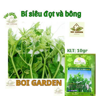 Hạt giống Bí Siêu Đọt và bông