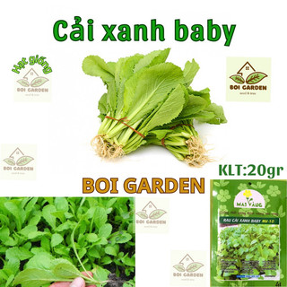 Hạt giống cải bẹ xanh ăn non