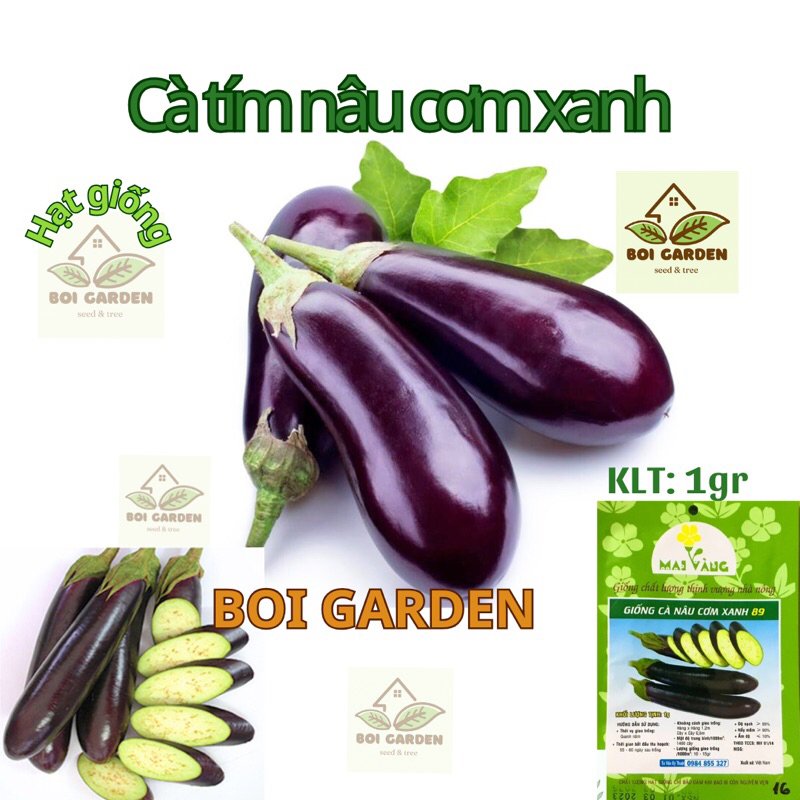 Hạt giống CÀ TÍM nâu cơm xanh (16)