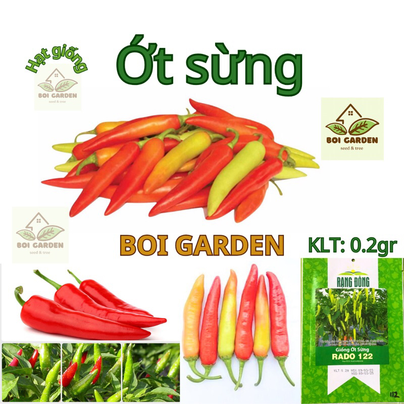 Hạt giống Ớt Sừng RADO 122 (111)