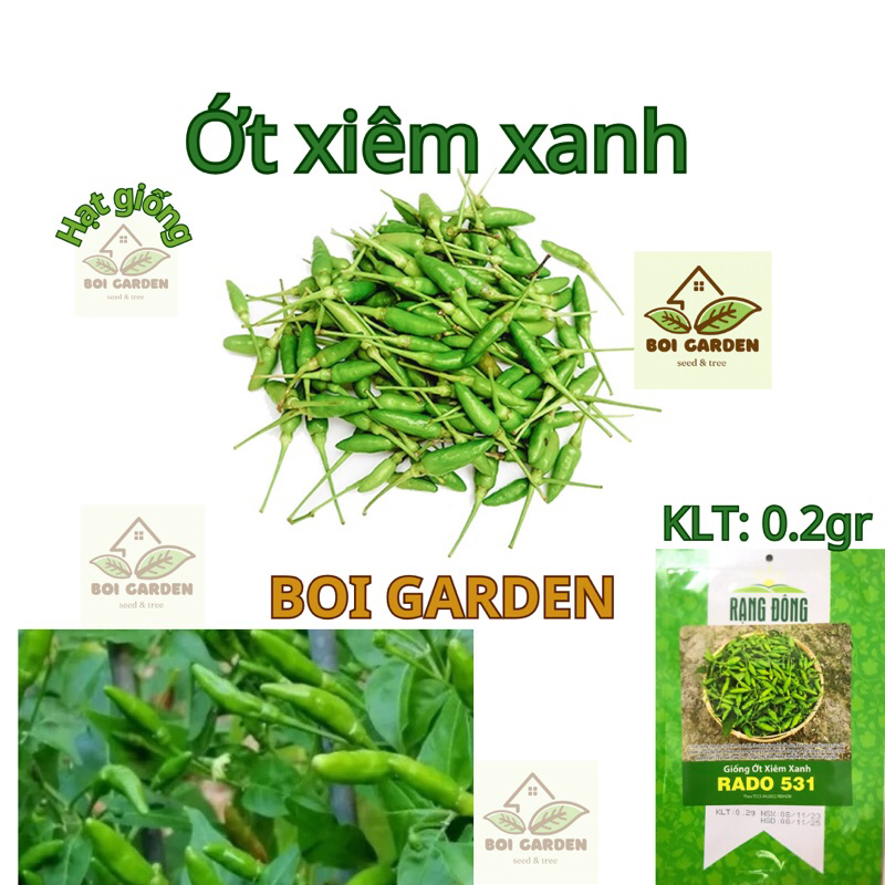 Hạt giống ớt xiêm xanh RADO 531 (113)