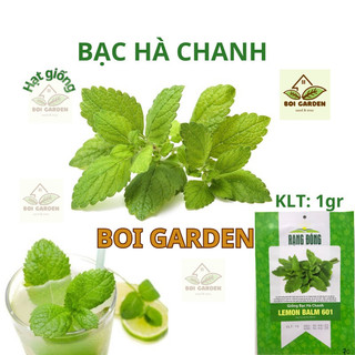 Hạt Giống Bạc Hà Chanh Lemon Balm