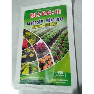 Kích ra hoa tạo mầm hoa hoa to mập nụ gói 50gam