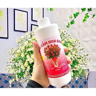 Nước cắm hoa giữ hoa tươi lâu hamilk hoa tươi lâu - nước không thối