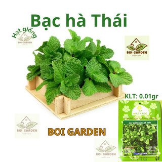 Hạt giống bạc hà thái