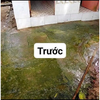 bột tẩy rong rêu