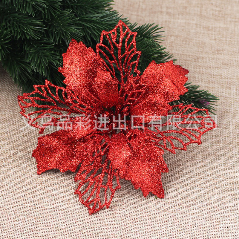 Bông hoa trạng nguyên Trang trí noel, làm oản, trang trí cây thông, Tết 2024