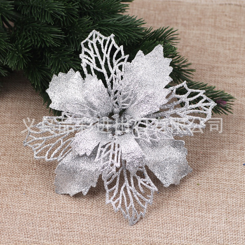 Bông hoa trạng nguyên Trang trí noel, làm oản, trang trí cây thông, Tết 2024