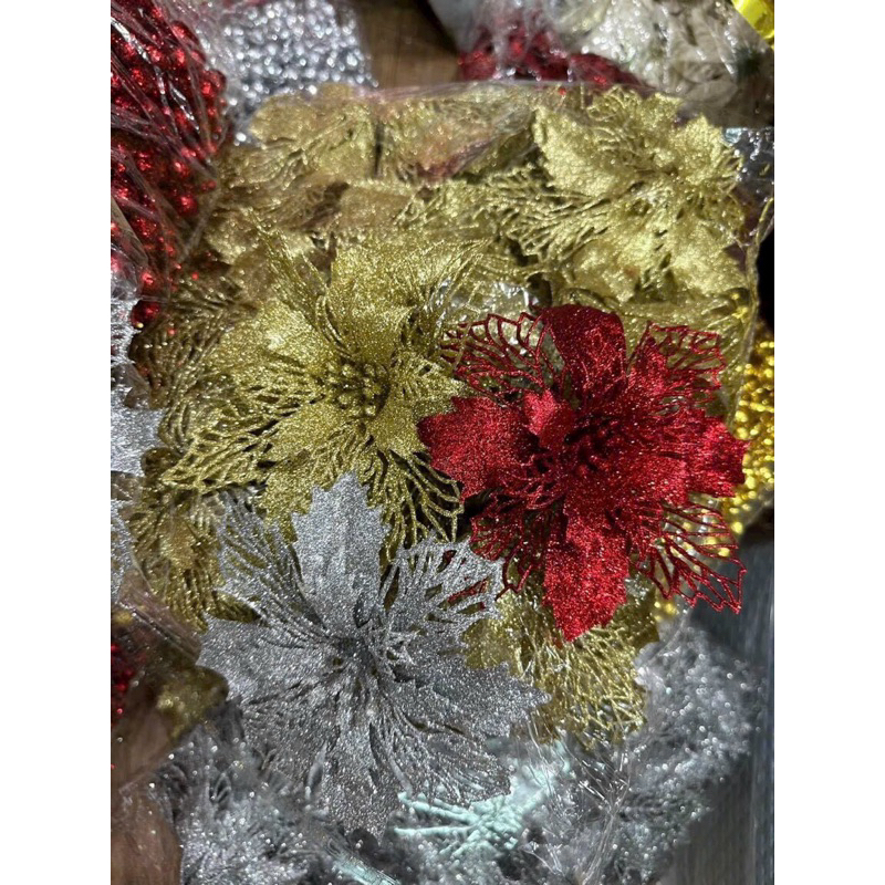 Bông hoa trạng nguyên Trang trí noel, làm oản, trang trí cây thông, Tết 2024