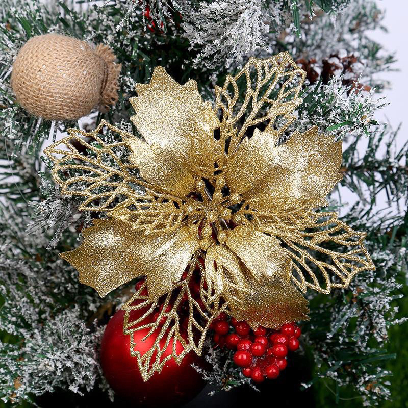 Bông hoa trạng nguyên Trang trí noel, làm oản, trang trí cây thông, Tết 2024