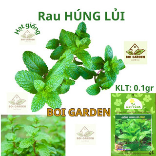 Hạt giống rau húng lủi 0.1g