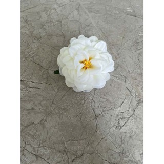 Đầu bông hoa cúc pháp