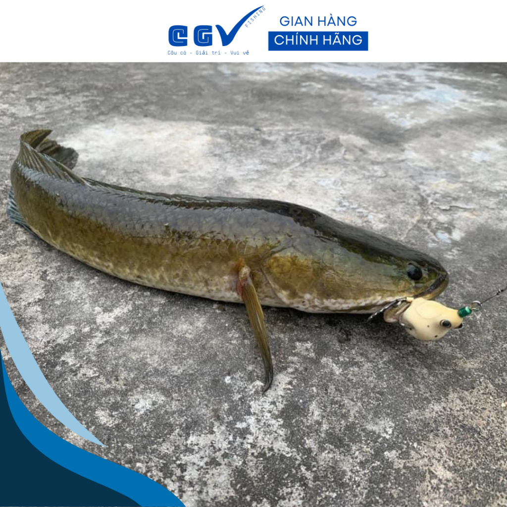 Mồi lure nhái hơi TNQ TV1  và TV2  - TOÁN NHÀ QUÊ / TNQ LURES