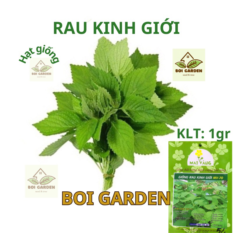 Hạt Giống Rau KINH GIỚI Cao Sản (130)