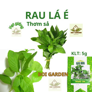 Hạt giống rau lá é trắng / thơm sả