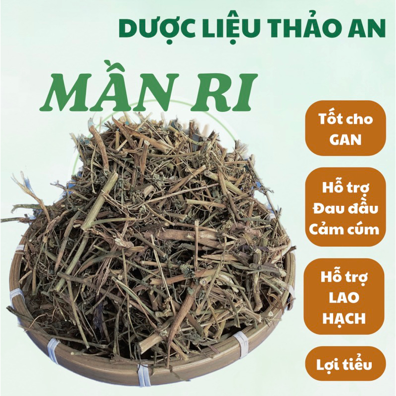 1 kg cây MẦN RI khô (mới sạch đẹp, loại 1)