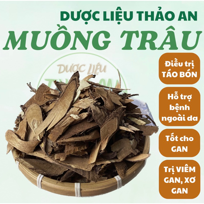 1 kg cây MUỒNG TRÂU khô, mới sạch, loại 1 - cơ sở dược liệu Thảo An