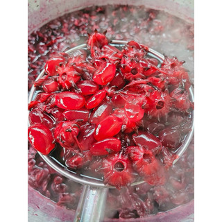 Hạt Đác Rim Atiso Hộp 550g