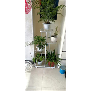 Kệ để chậu hoa cây cảnh B307