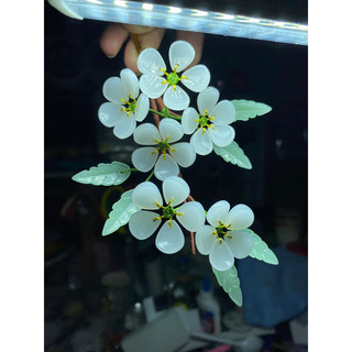 [ Lưu Ly Phiến] Bạch Mai