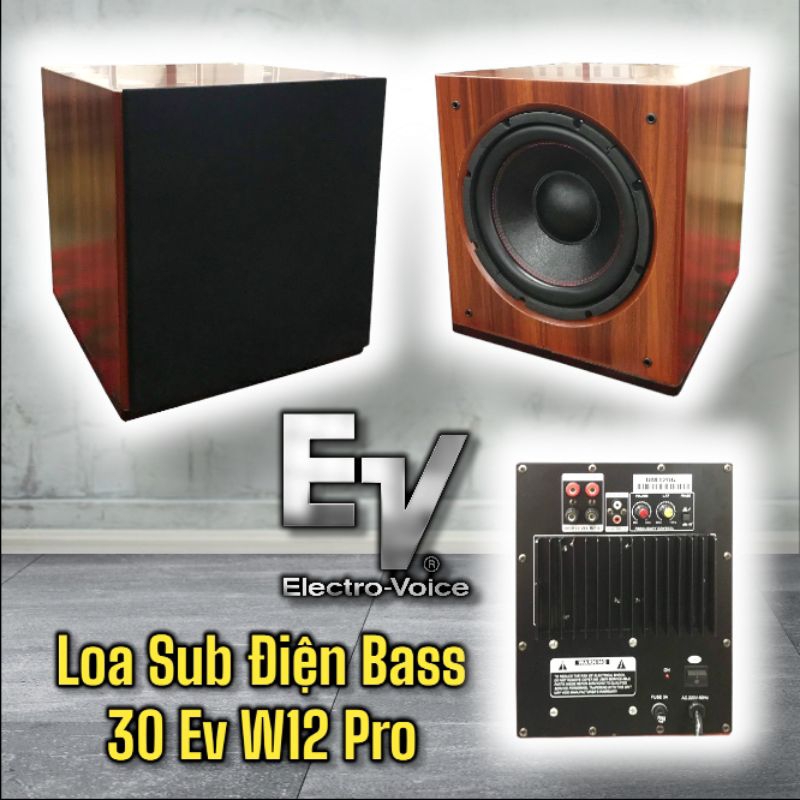 Loa Sub Điện Bass 30 EV Acoustic W12 500w