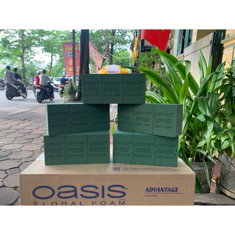 XỐP CẮM HOA TRANG TRÍ OASIS - LOTUS