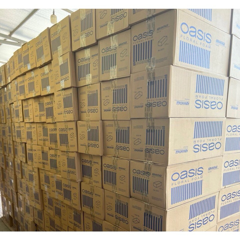 XỐP CẮM HOA TRANG TRÍ OASIS - LOTUS