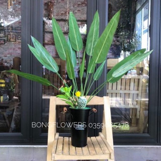 Cây giả - cụm lá thiên điểu giả 7 lá dài 90cm