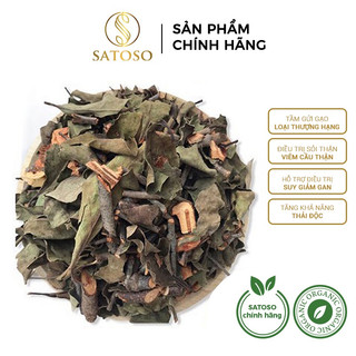 Tầm gửi gạo giúp bảo vệ thận, gan satoso gói 1kg