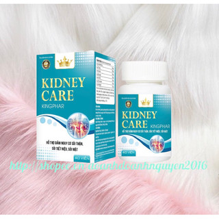 Viên uống lợi tiểu KIDNEY CARE Kingphar - hộp 40 viên - hỗ trỡ giảm nguy cơ sỏi thận , sỏi tiết niệu , sỏi mật