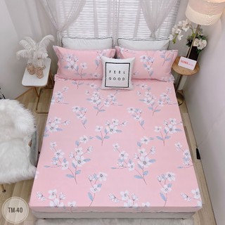 Ga Gối Tencel Microfiber TRƠN MÀU ( ẢNH SHOP TỰ CHỤP )