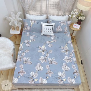 Ga Gối Tencel Microfiber TRƠN MÀU ( ẢNH SHOP TỰ CHỤP )
