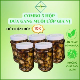 Combo 5 hộp Dưa gang muối ướp gia vị - Chay mặn đều dùng được