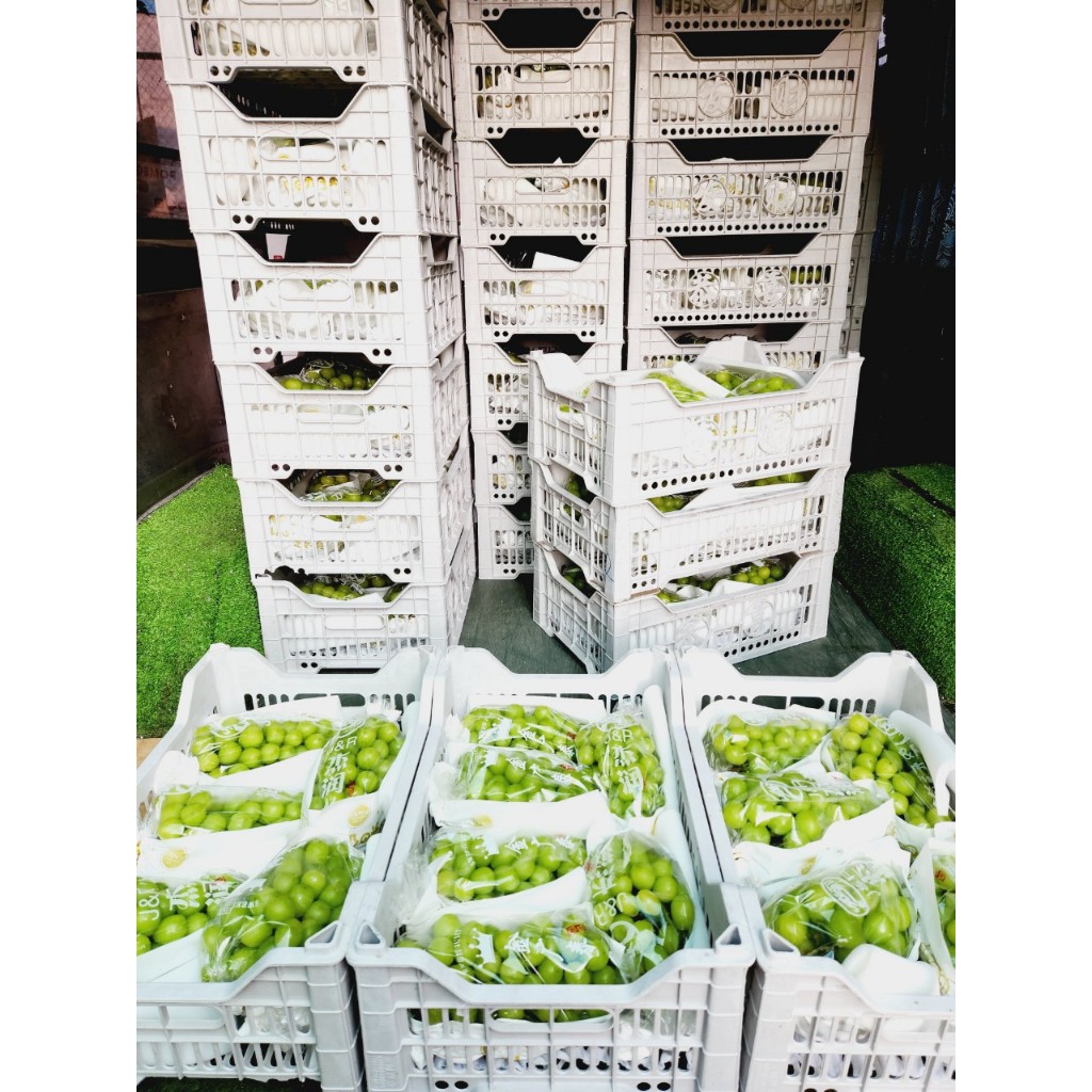 1 chùm nho mẫu đơn cuối mùa dao động từ 600-800kg