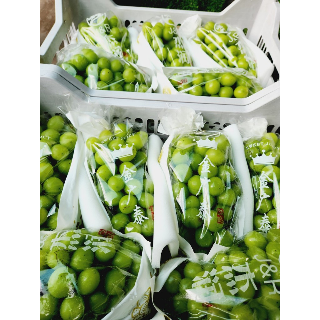 1 chùm nho mẫu đơn cuối mùa dao động từ 600-800kg