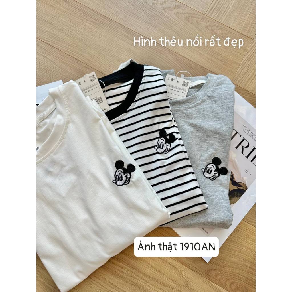 Áo Nữ Dài Tay Hàng Việt Nam 1910AN