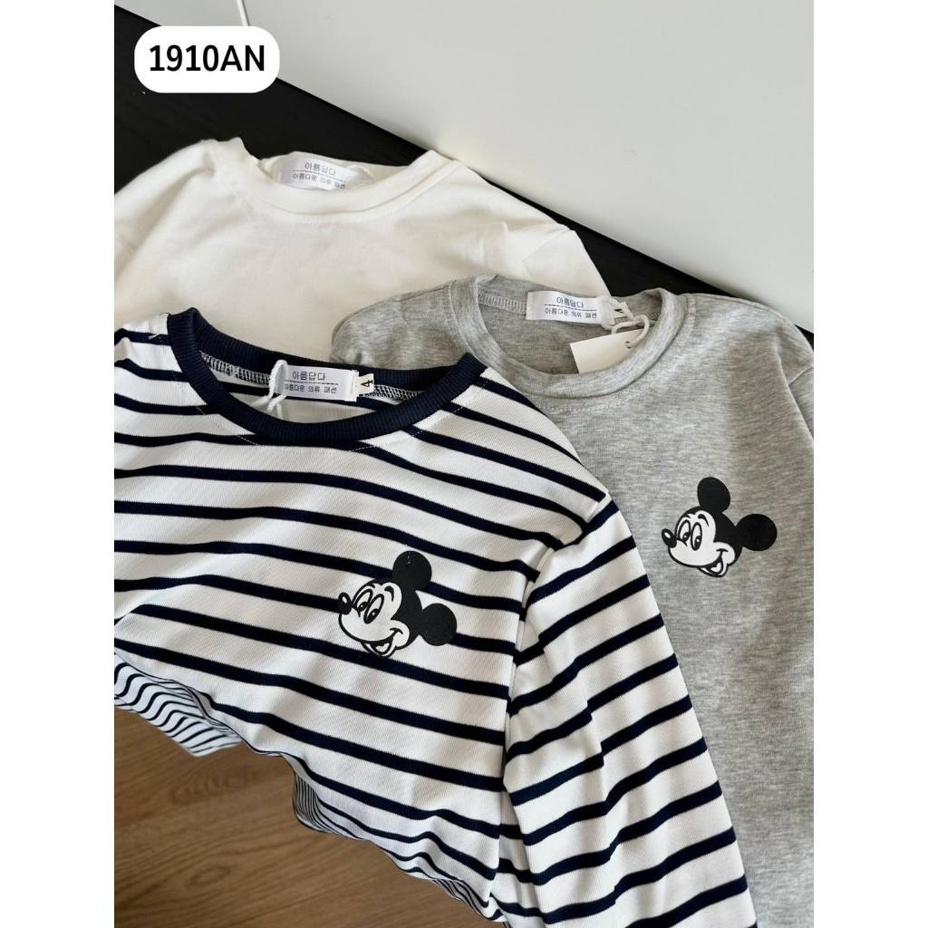 Áo Nữ Dài Tay Hàng Việt Nam 1910AN