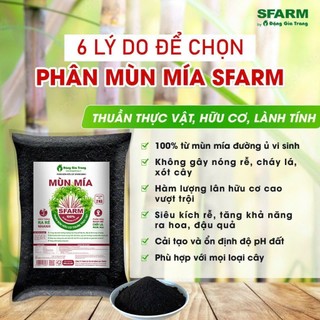 PHÂN MÙN MÍA SFARM TÚI 2KG