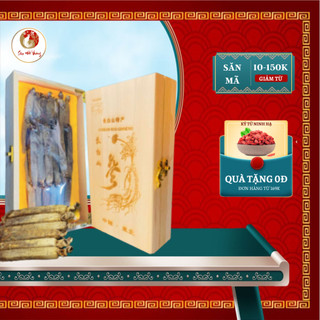 Hồng sâm hàn quốc 12 năm tuổi hàng thượng hạng nhập khẩu nguyên hộp giảm quá trình lão hóa | sâm đế vương official